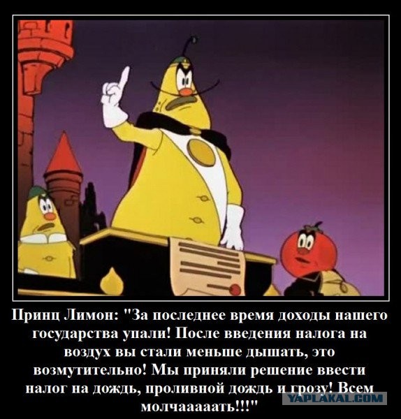Воздух чуть позднее: Госдума намерена пресечь нецелевое использование дров в российских деревнях