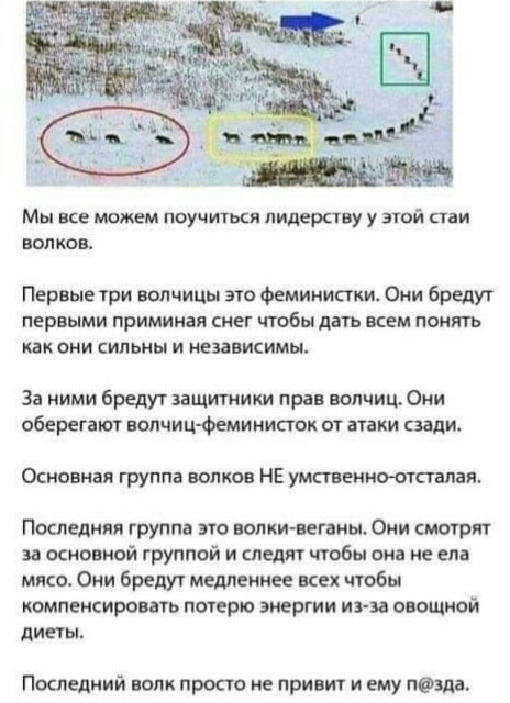 Прикольные и просто красивые картинки 24.10.2020