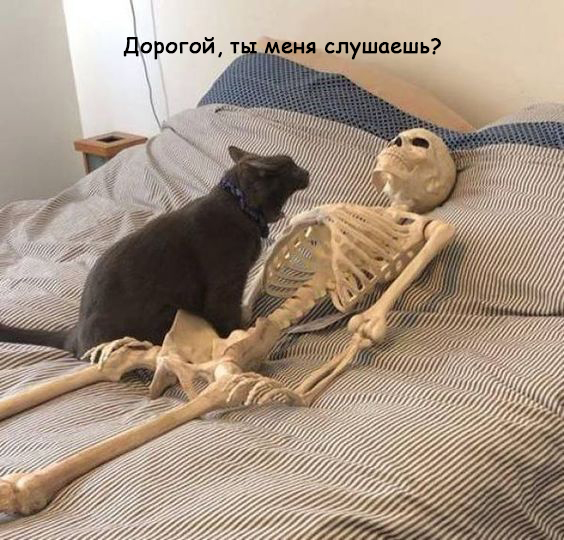 Женщины - они как кошки