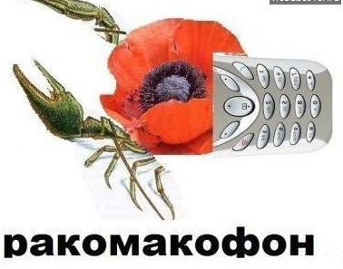 Кот Шрёдингера обходит угрозу