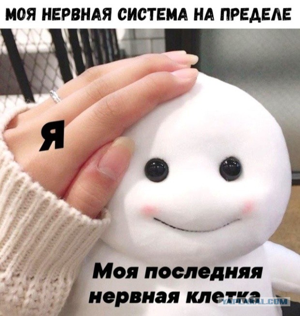 Скромный показ белья