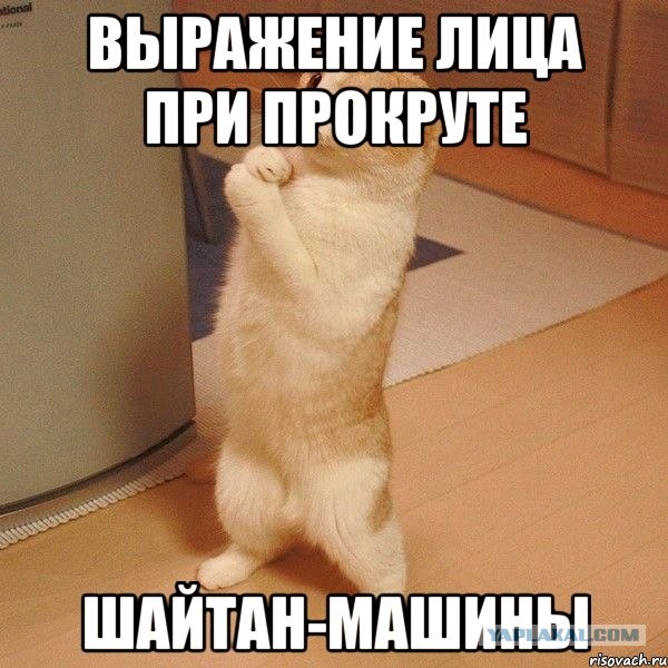 Опять матрица сбоит