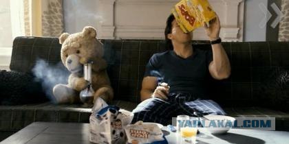 Возвращение лучшего друга.