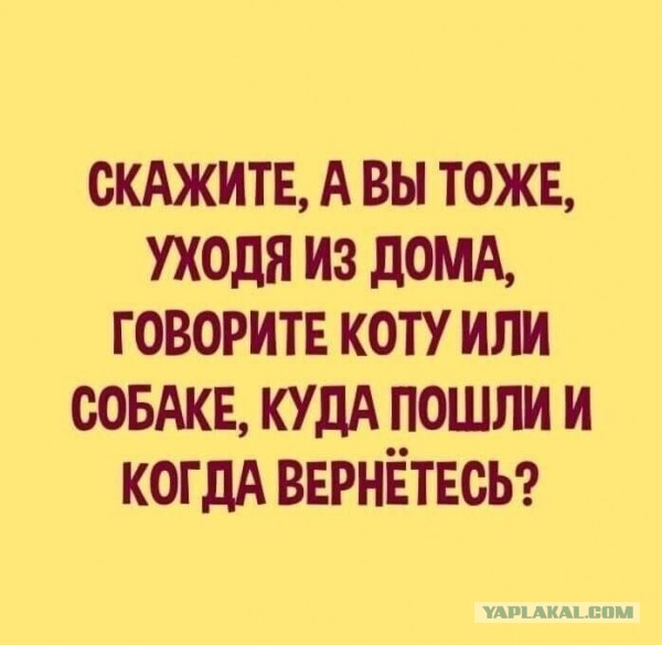 Картинки и мемы для настроения 03.06.2021
