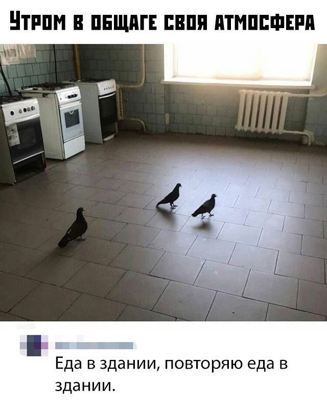 Так себе картинки 10.08.21