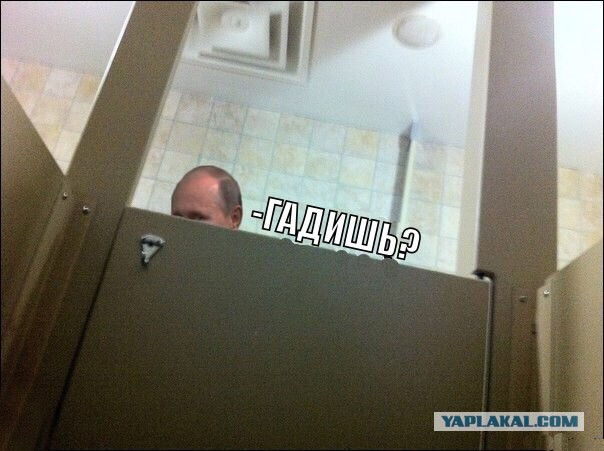 У кого что стоит на заставке телефона?