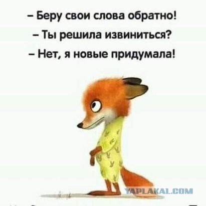 Следственный комитет России начал расследование ситуации
