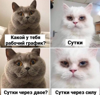 Немного картинок разной степени новизны и адекватности - 12