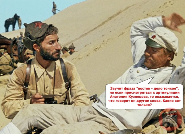 Топ громких расправ над живодёрами