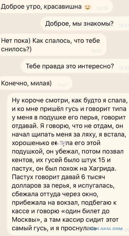 Картинки 12.02.22