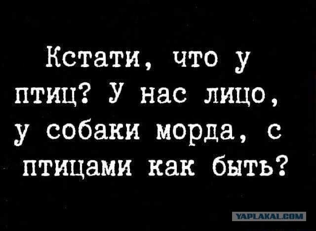 Улыбайтесь, господа...
