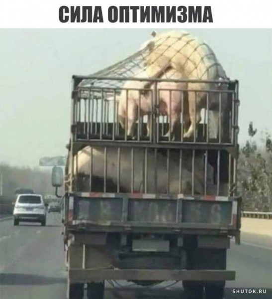 Фото-винегрет-4. Картинки ниапчём и обо всём