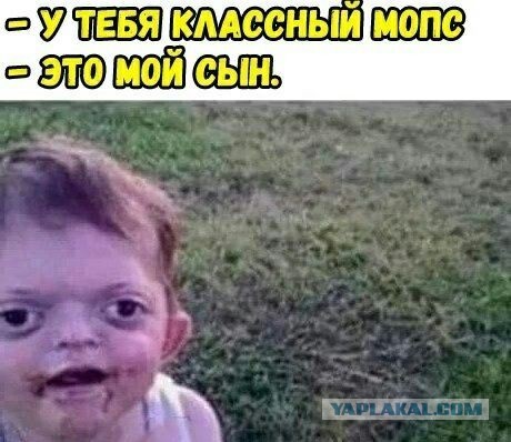 У дочери Пескова на раскрылись глаза