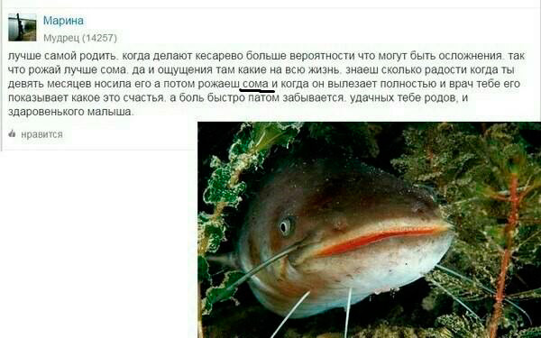 Когда уже родишь?