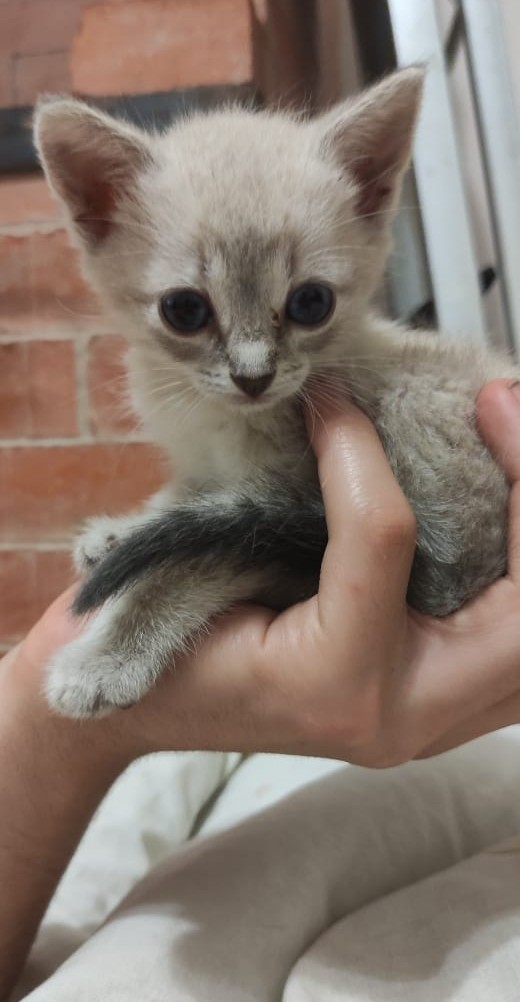 КотоФторник 23.08.22