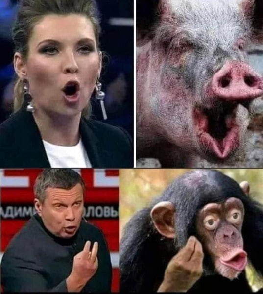 Топ оскорблений от Медведева