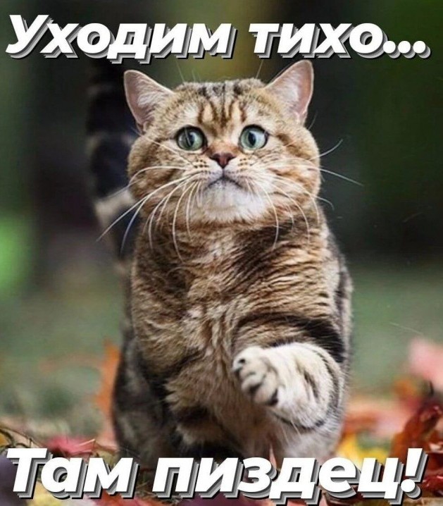 Шурум-бурум