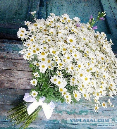 Почему у женатых мужчин появляются любовницы