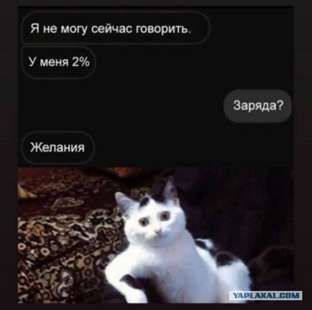 Вот мы какие красивые!