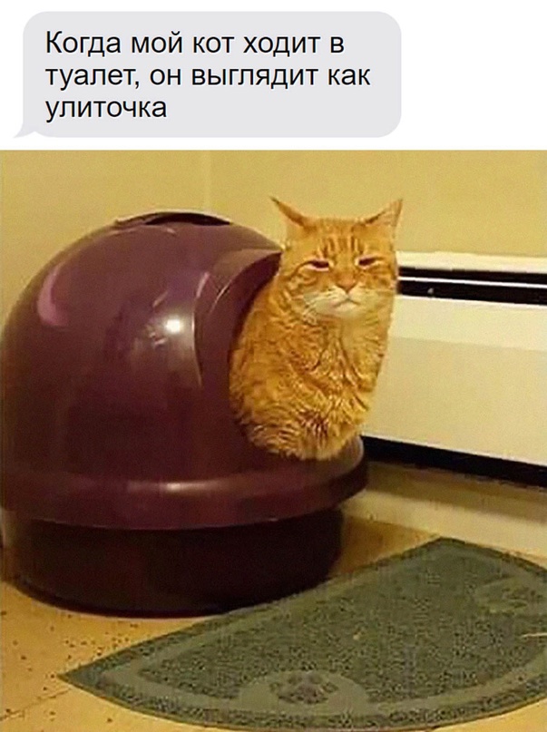 Картинки и мемы, всем хороших выходных
