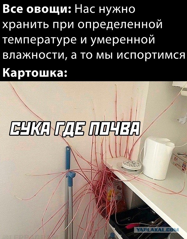 Равноправие женщин и рождаемость