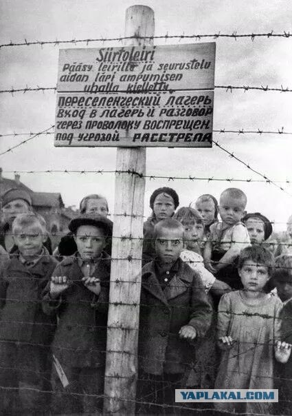 Болото смерти. Страшное эхо Зимней войны