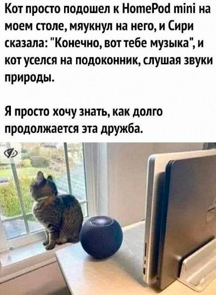 Забавные комментарии из социальных сетей (08.05.23)