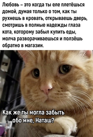 То, что не перестанет растягивать лицо в улыбке во веки веков. Аминь.
