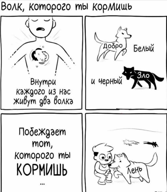 Так себе картинки 24.11.23