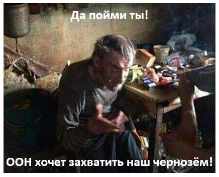 ООН выпустила первую глобальную карту черноземов в мире
