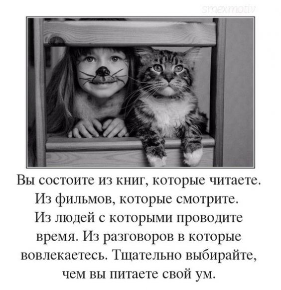 Прикольные и просто красивые картинки 22.03.2024