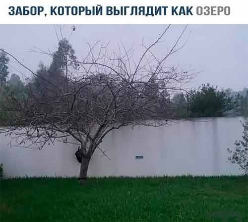 Завалялось тут случайно немного забавных картинок