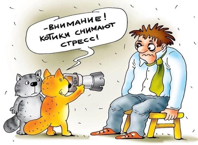 Так себе картинки 14.11.24