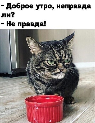 С добрым утром Новосибирск!