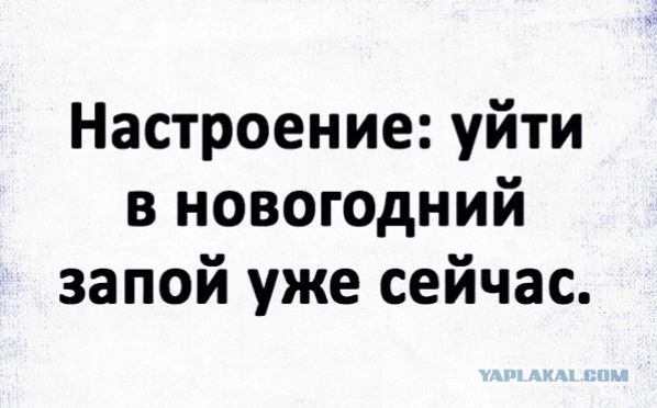 Так себе картинки 21.12.24