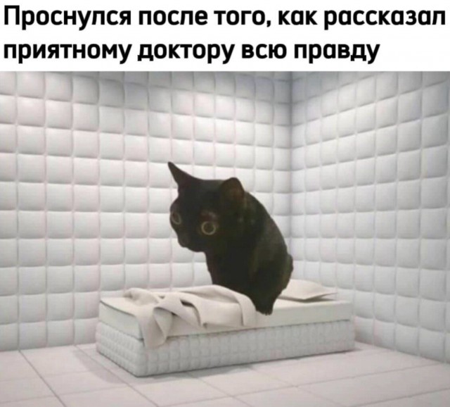 Так себе картинки 29.12.24