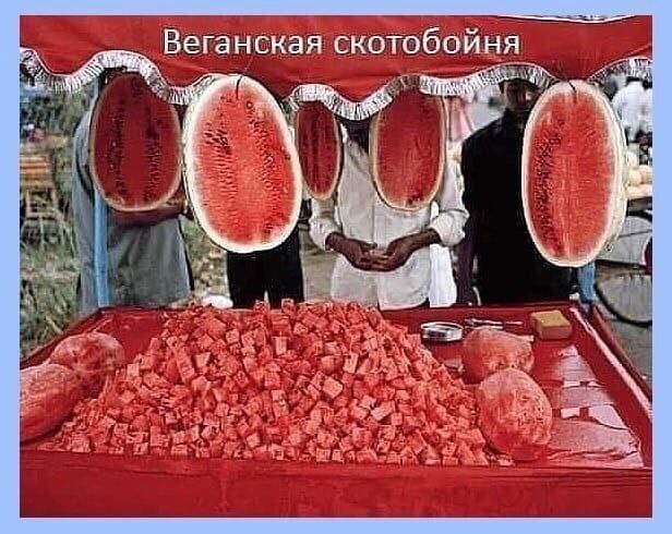 Так себе картинки 25.02.25