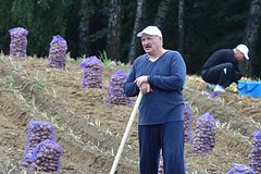 В два смычка за 15 минут