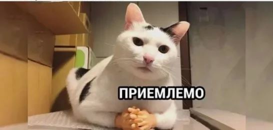 АЗООСПЕРМИЯ