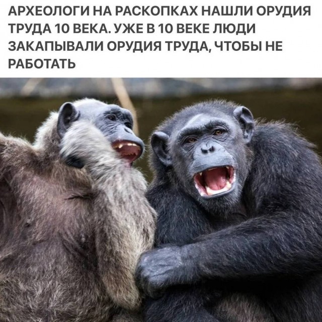 Картинки для деградации 49 (разной степени свежести)