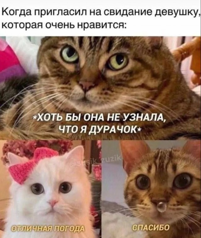 Фото из анналов №2