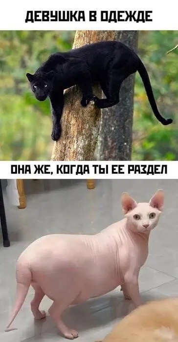 Понедельника картинки