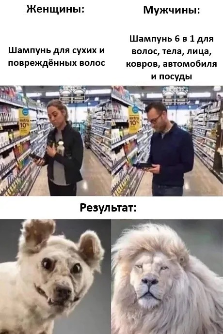 Картинки для деградации 122 (разной степени свежести)
