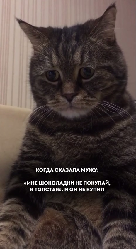 Картинки для деградации 134 (разной степени свежести)