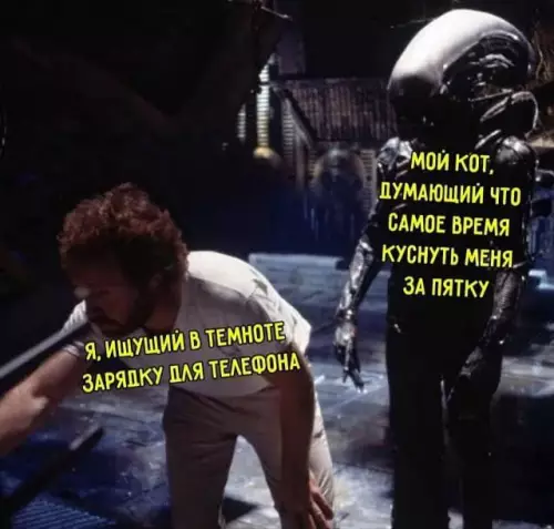 Картиночки, баянчики 18 февраля