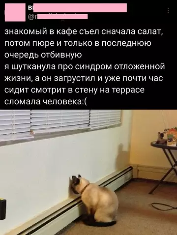 Картиночки, баянчики 02 марта