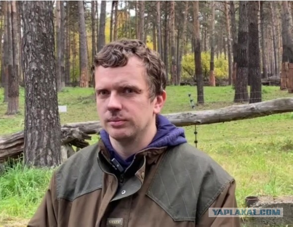 Прокуратура и РКН начали проверку баннеров в Новосибирске в честь 9 Мая, на которых изображена обезьяна