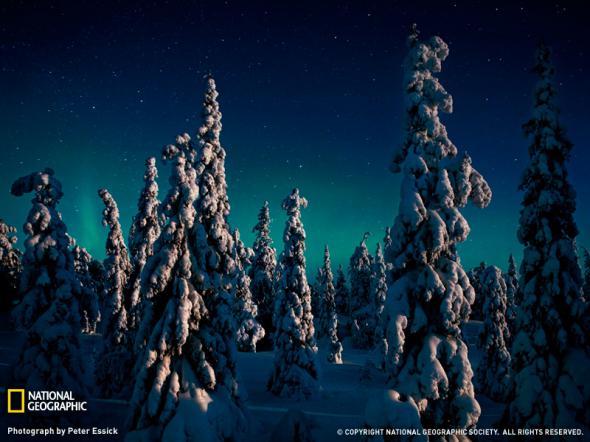 Лучшие фотографии от National Geographic 2009