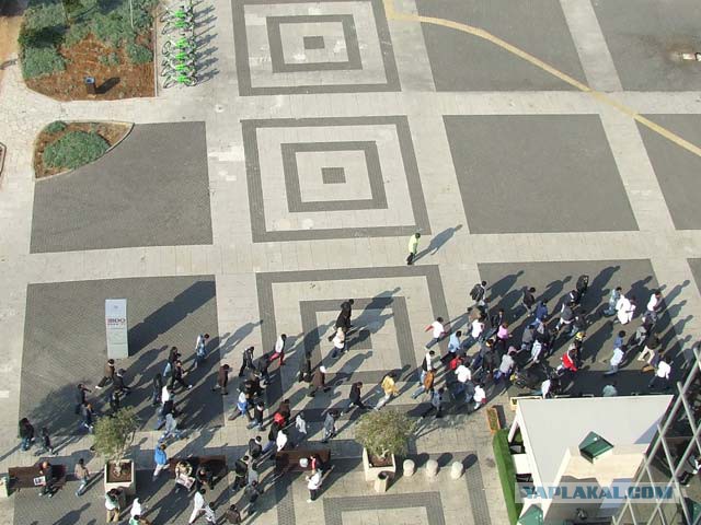 В Израиле мигранты собрали многотысячный митинг