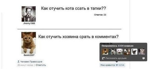 Смешные комментарии из социальных сетей